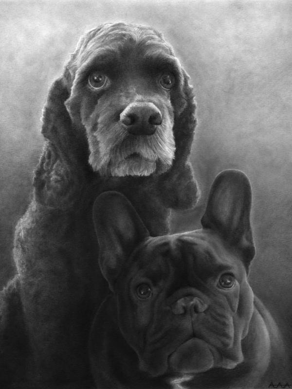 Commission Pet Portrait, 2021, Graphite on Paper