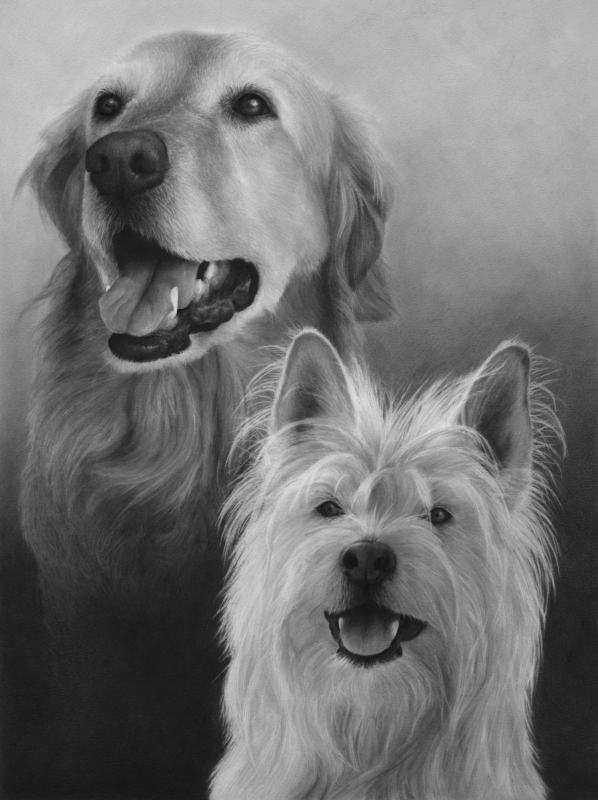 Commission Pet Portrait, 2021, 16x12 Graphite on Paper