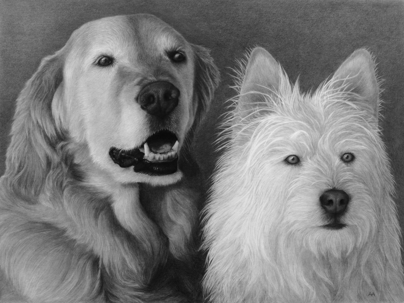 Commission Pet Portrait, 2023, Graphite on Illustration Board